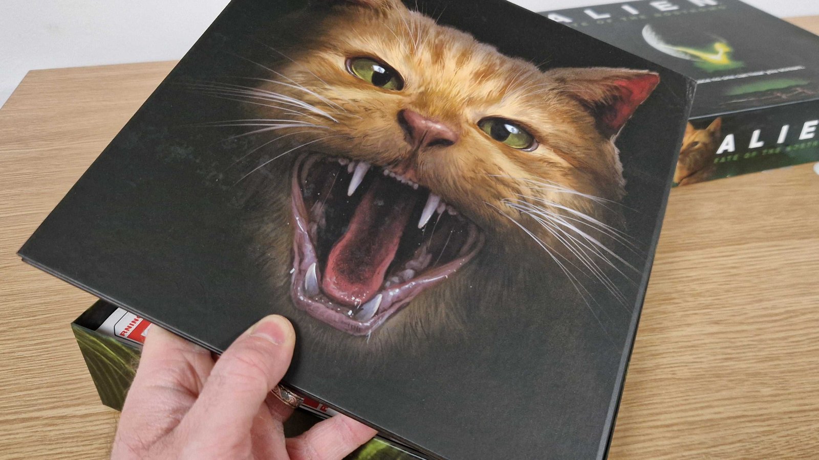 A hand holds a board with a cat hissing on it