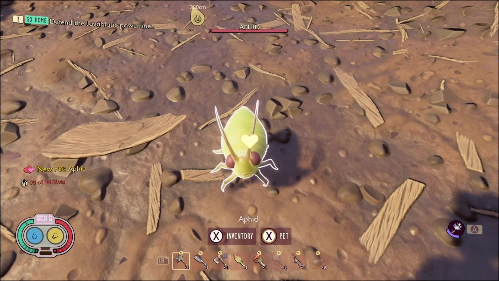 Grounded pets tame