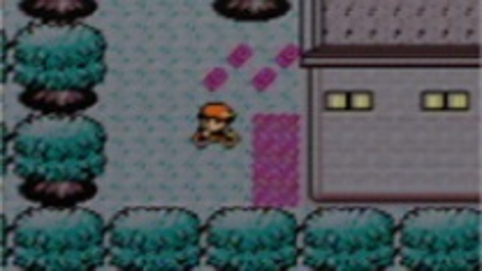 Pokemon Gold and Silver screenshot showing a trainer riding a bike