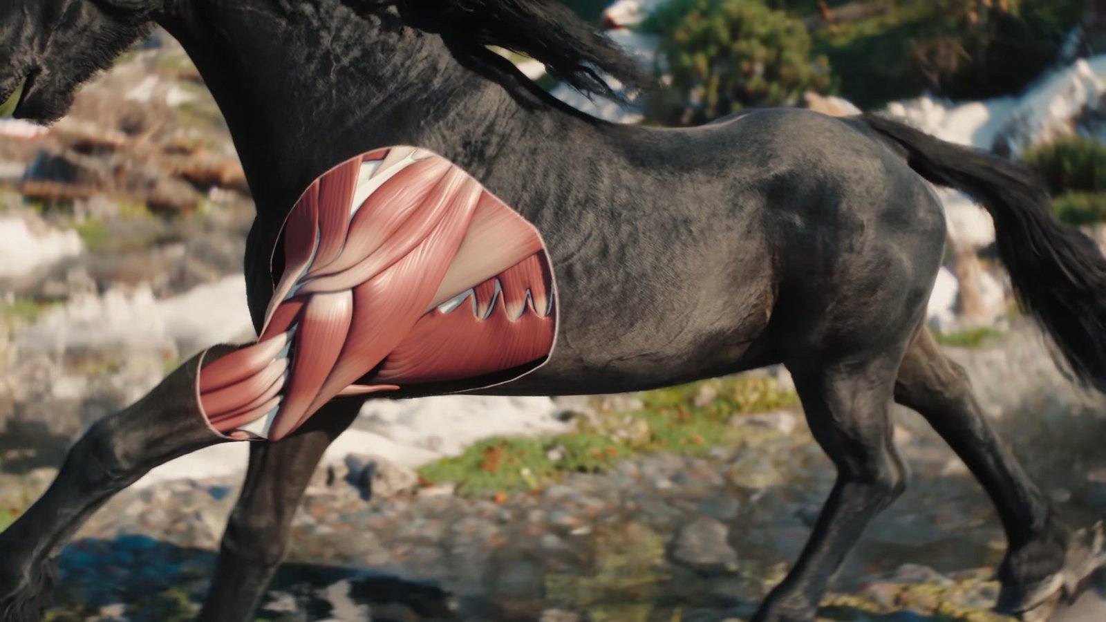 In the Witcher 4 Unreal Engine 5 tech demo, you can see the internal muscles of Ciri's horse Kelpie to demonstrate the advanced physics used to recreate the animal's movement realistically