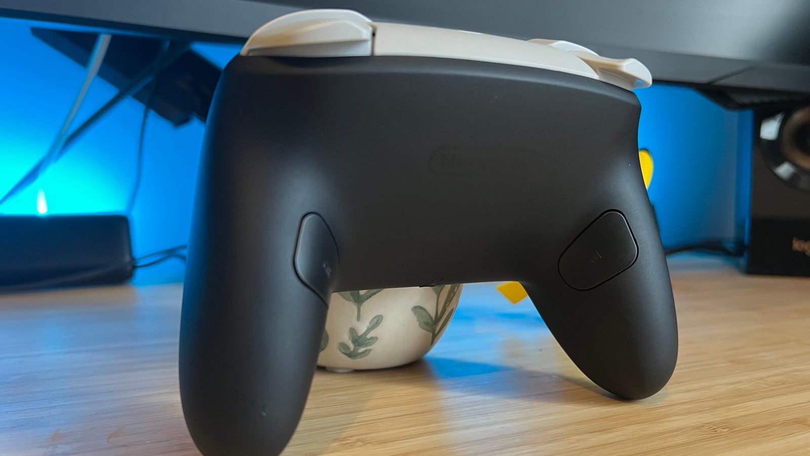 Rear of Nintendo Switch 2 Pro Controller showing back buttons