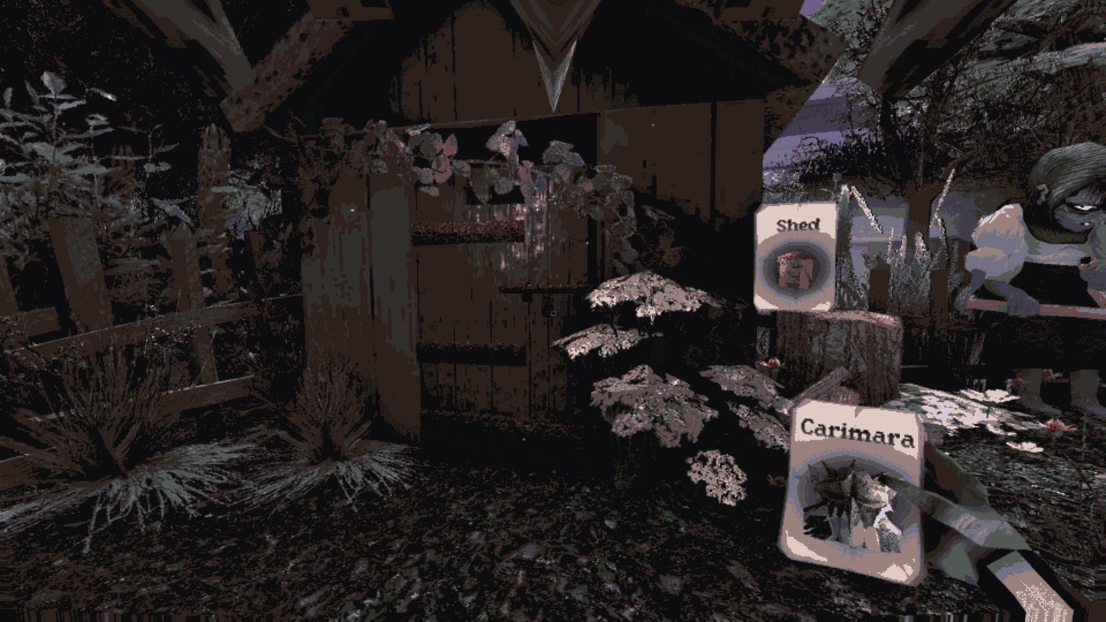 Exploring the grounds around the Old Lady's hut in Carimara: Beneath the Forlorn Limbs