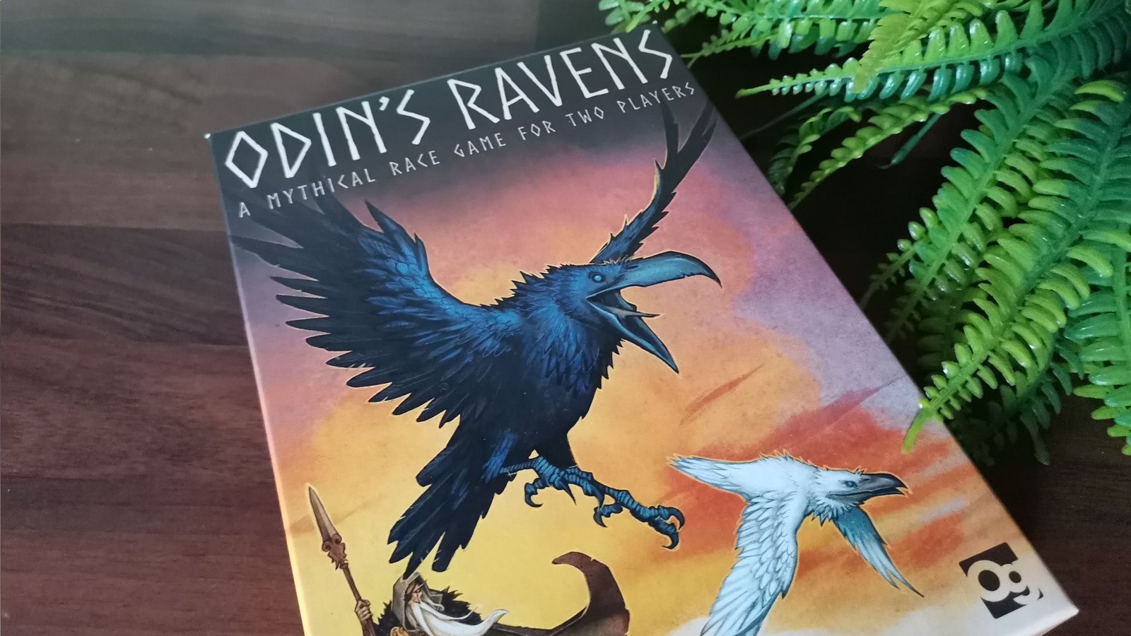 Odin’s Ravens : un jeu de cartes tactique pour deux joueurs