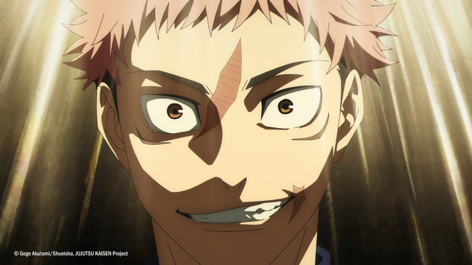 Jujutsu Kaisen Saison 4 : ce que l’on sait sur la suite