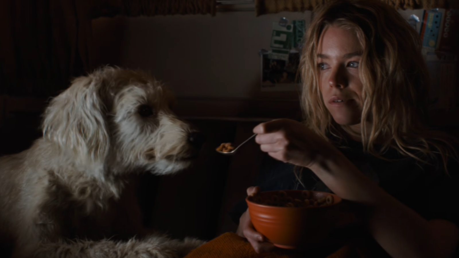 Supergirl : James Gunn a imposé des limites sur Krypto