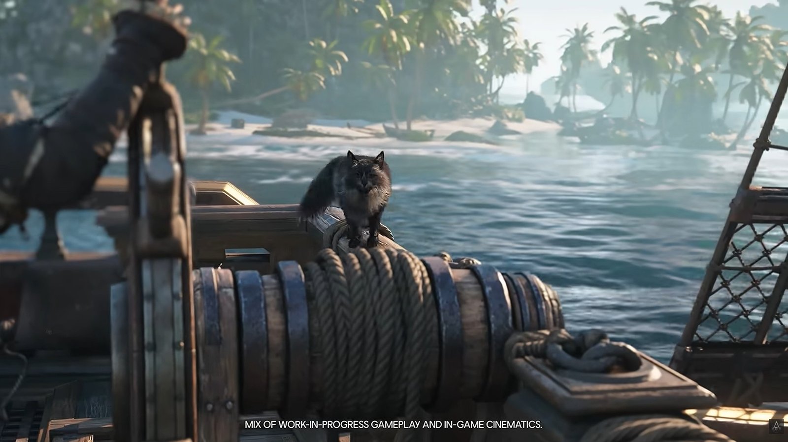 A black cat is an option as an Assassin's Creed Black Flag Resynced Pets