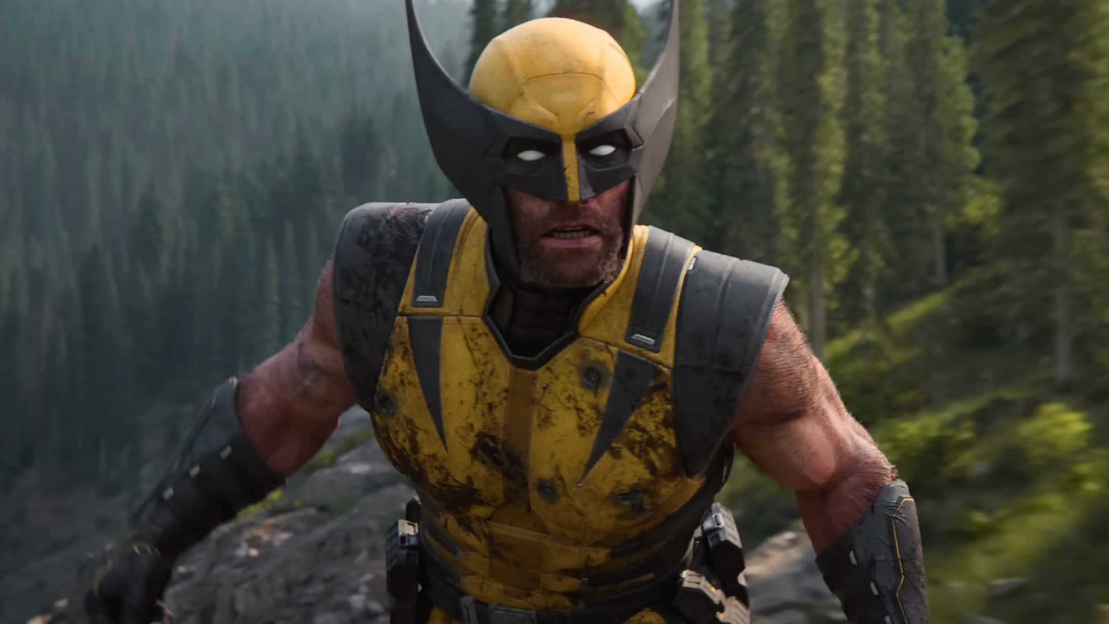 Wolverine looks shocked